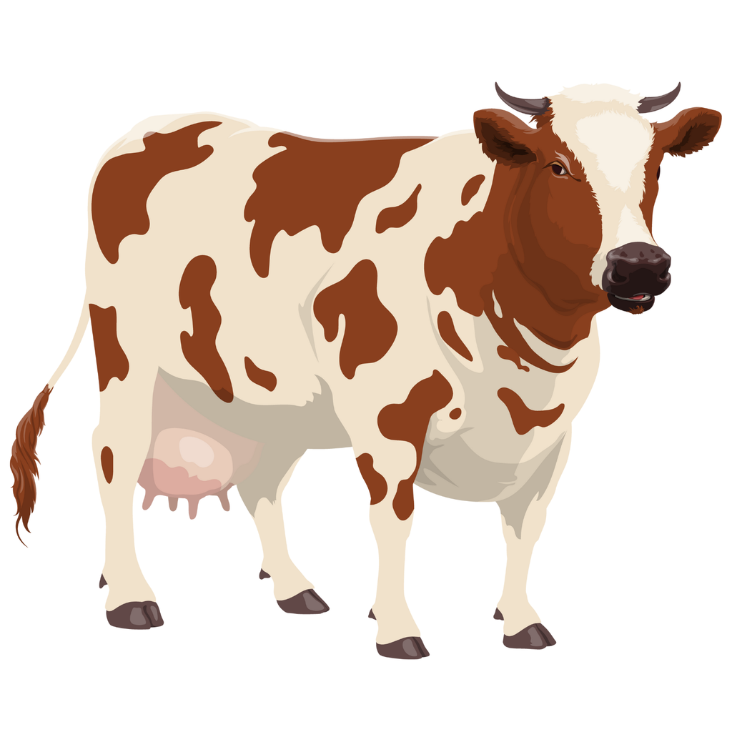 Boulette au Fromage 500g