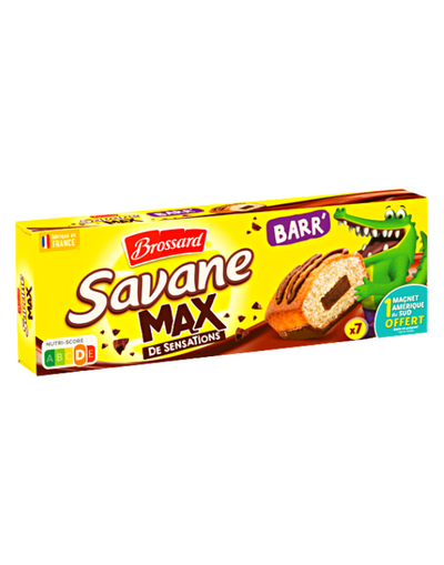 Brossard Cake Savane Barr Max de Sensations