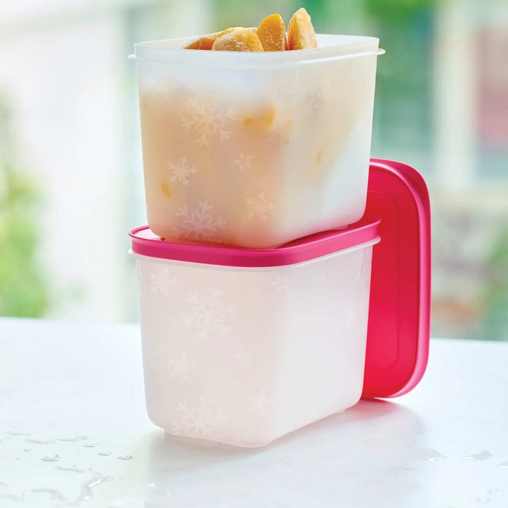 Boîte de rangement Tupperware Alaska High Body 2 pièces, 1100 ml