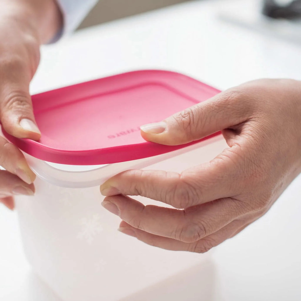Boîte de rangement Tupperware Alaska High Body 2 pièces, 1100 ml
